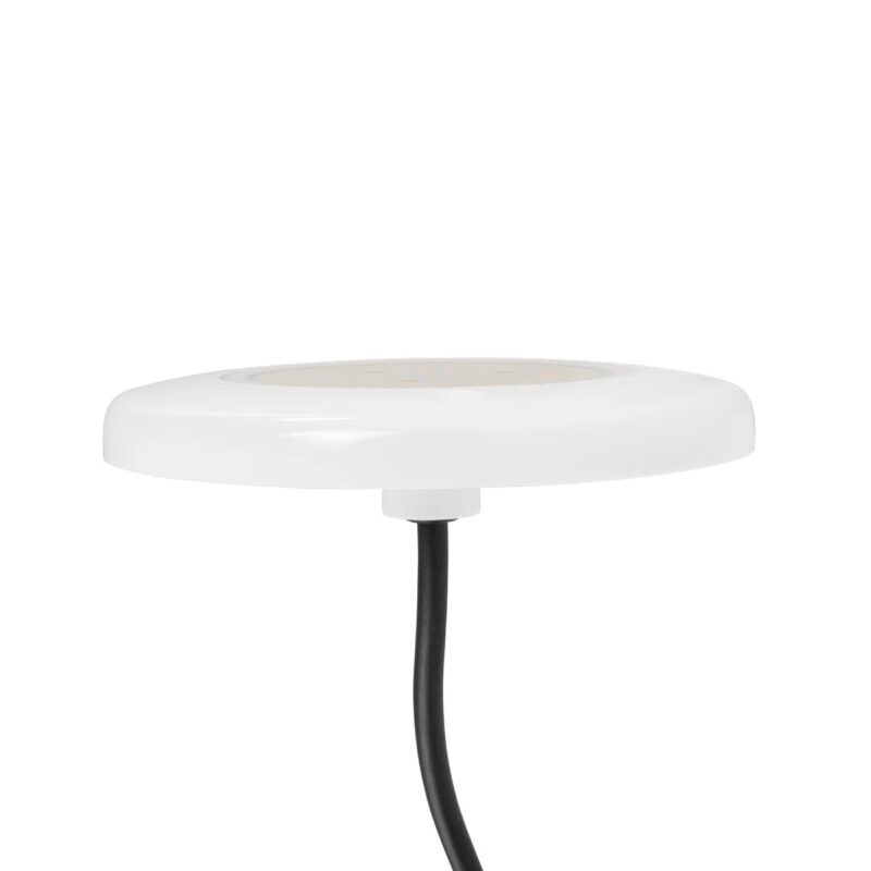 GLOBOSTAR® POOLARTY 61716 Υποβρύχιο Φωτιστικό για Σιντριβάνια/Πισίνες LED 8W 600lm 120° DC 12V Αδιάβροχο IP68 Θερμό Λευκό 2700K Dimmable – Bridgelux SMD Chip – 1m VDE Rubber Καλώδιο – Μ13 x Π13 x Υ2cm – 3 Χρόνια Εγγύηση