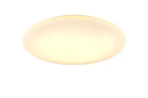 649317000.webp