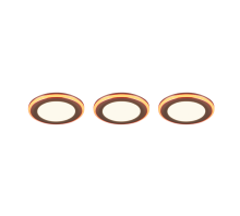 653610306_1-sm.png