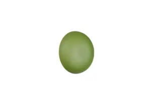 R24431115.webp