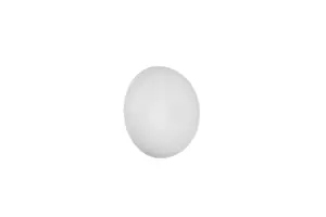 R24431131.webp