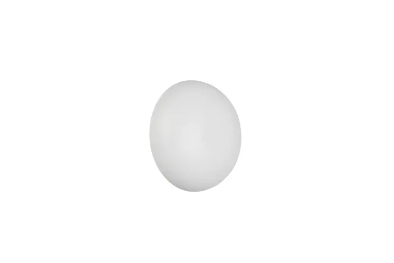 R24431131.webp R24431131.webp
