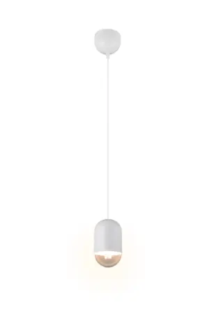 R36311031.webp