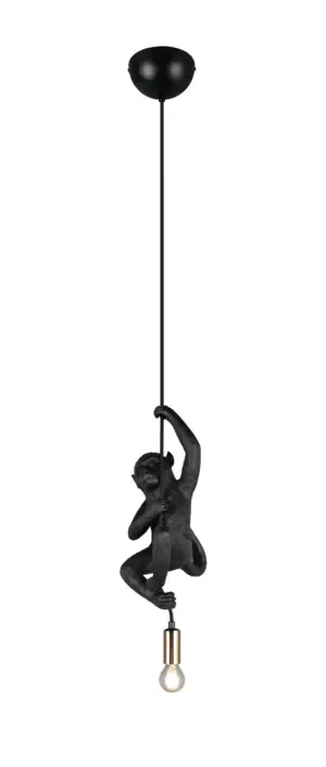 R36551002-scaled-1.webp