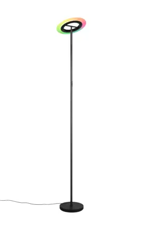 R43411132.webp