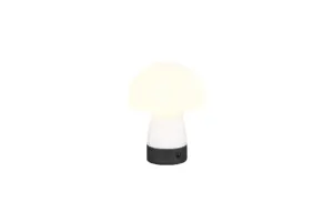 R54981131.webp