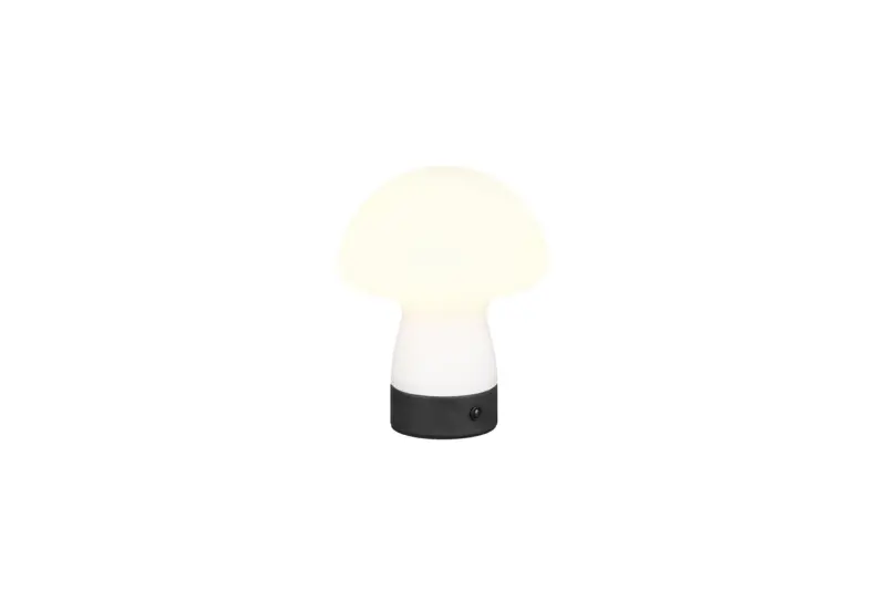 R54981131.webp R54981131.webp