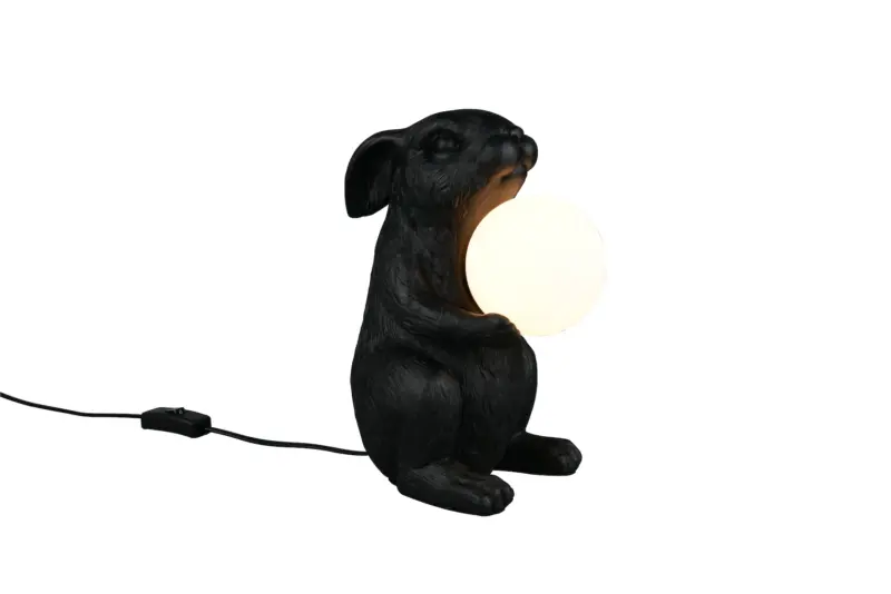 R56511002.webp