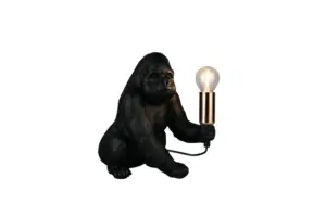 R56611002.webp