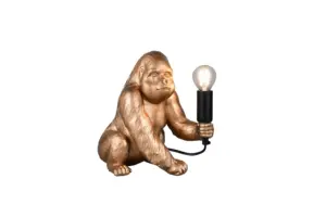 R56611079.webp