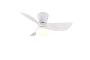 R64412131.webp