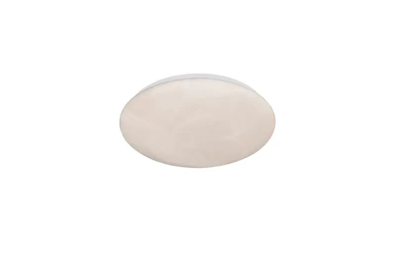 R64631101.webp R64631101.webp