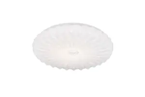R64791101.webp