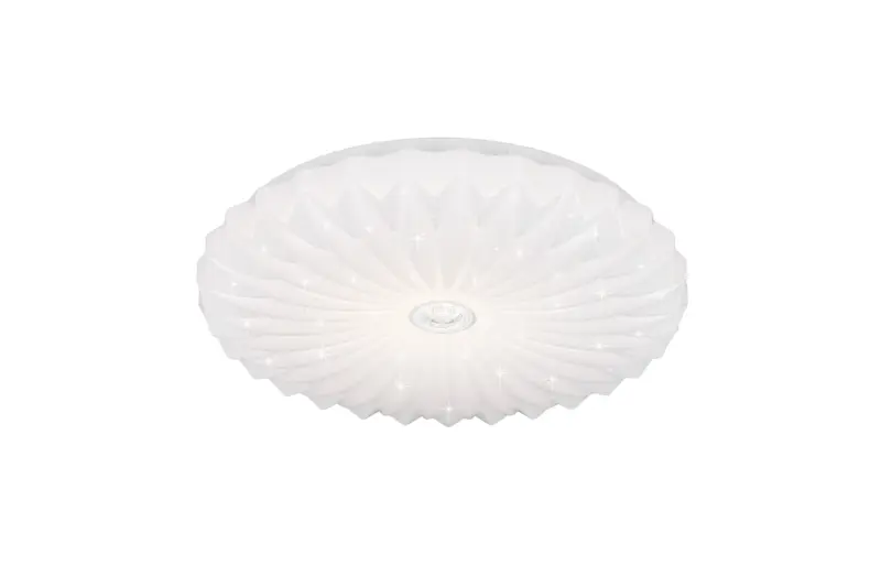 R64791101.webp