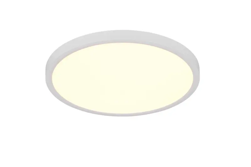 R65891931.webp