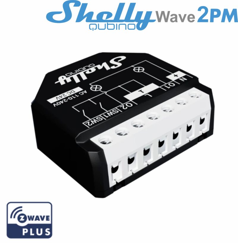 SHELLY-QUBINO-WAVE-2PM_0.jpg