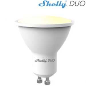 SHELLYDUOGU10DIM.jpg