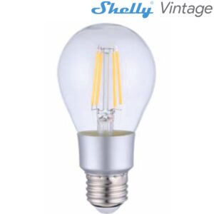 SHELLYVINTAGEA60.jpg