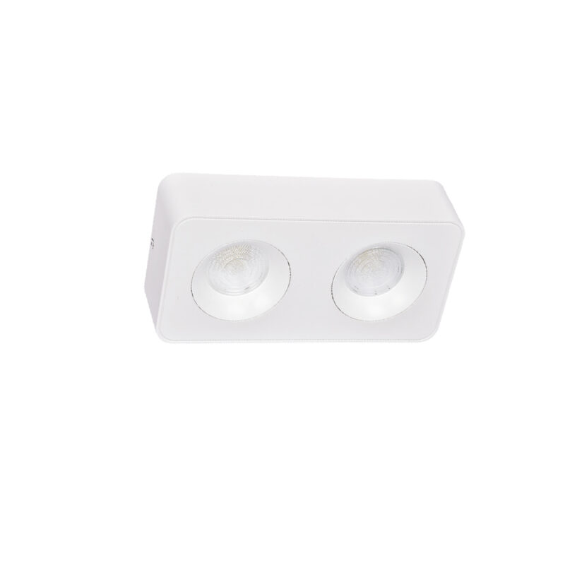 Inlight Downlight Mounted σποτ 2*8W 3CCT σε λευκή απόχρωση (X00270W)