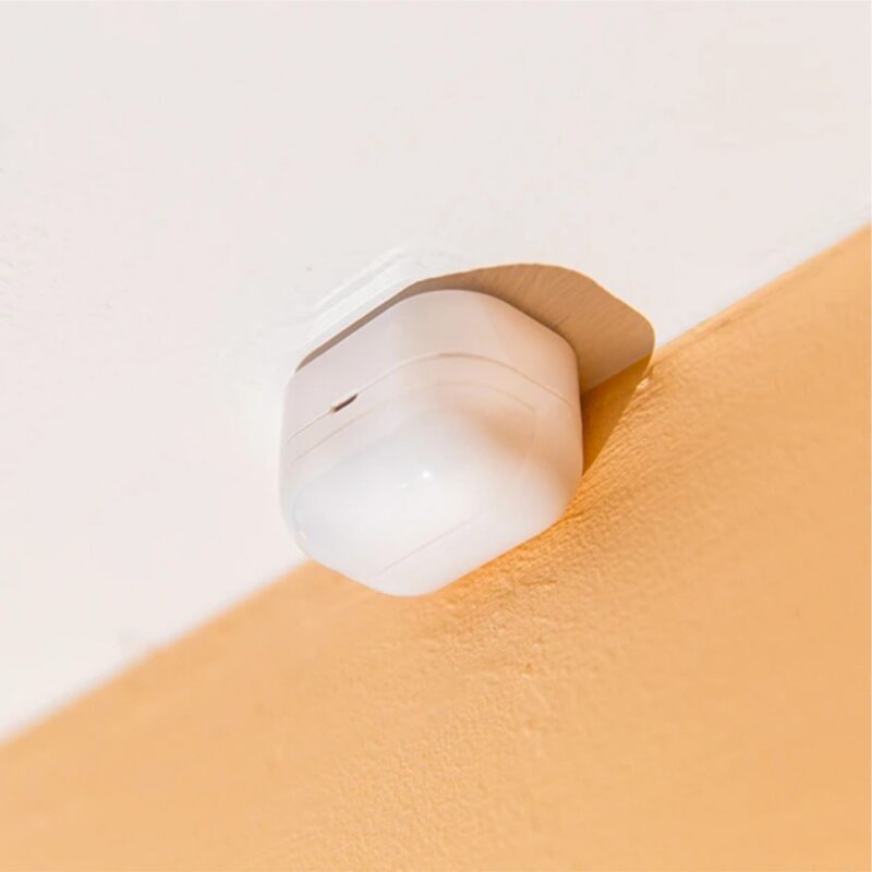 Shelly Blu Motion | Shelly Blu Motion – EAN 3800235266700